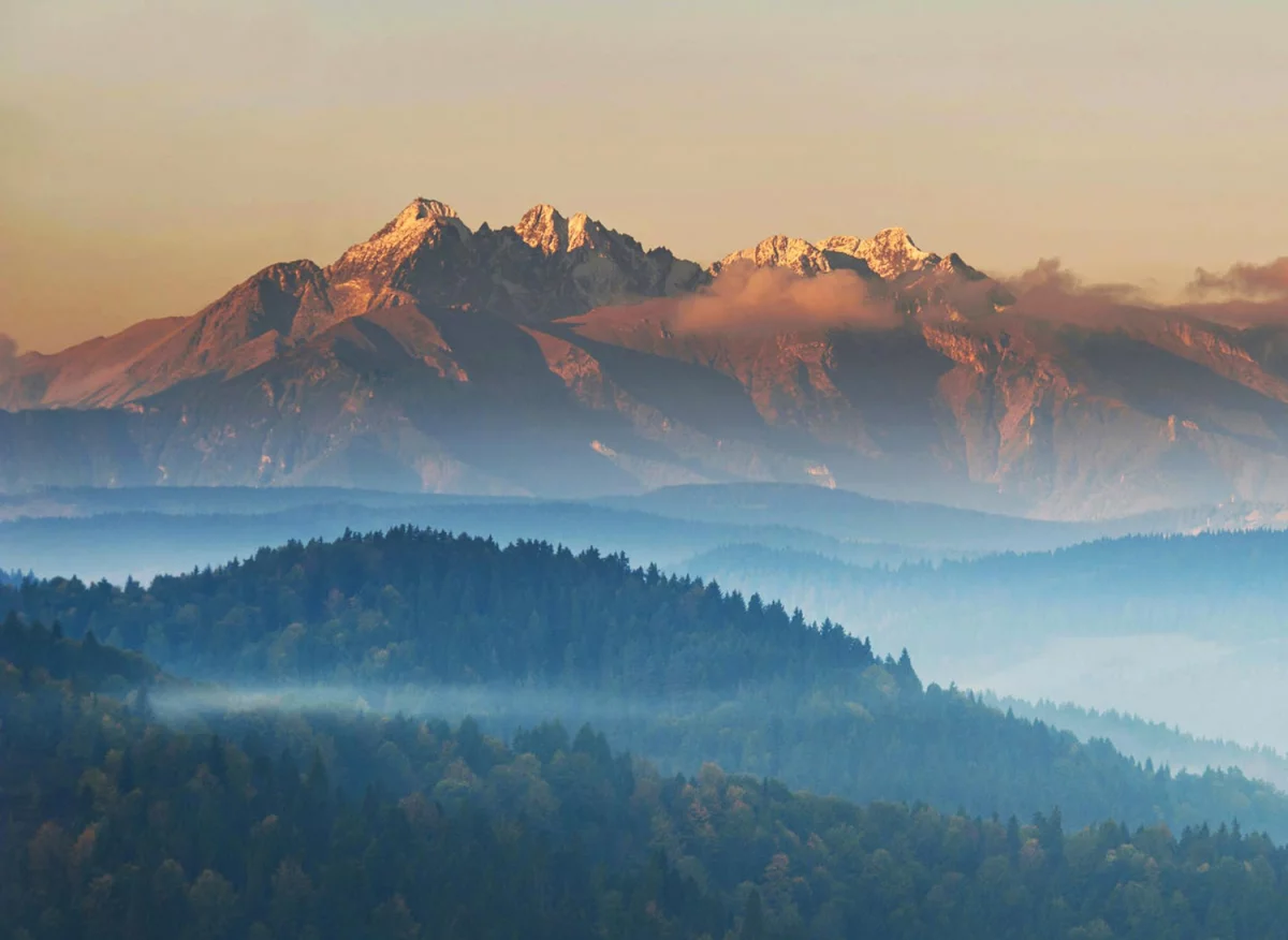 7,7 Internautów Już Wie Jak jeździć samochodem. A Ty?