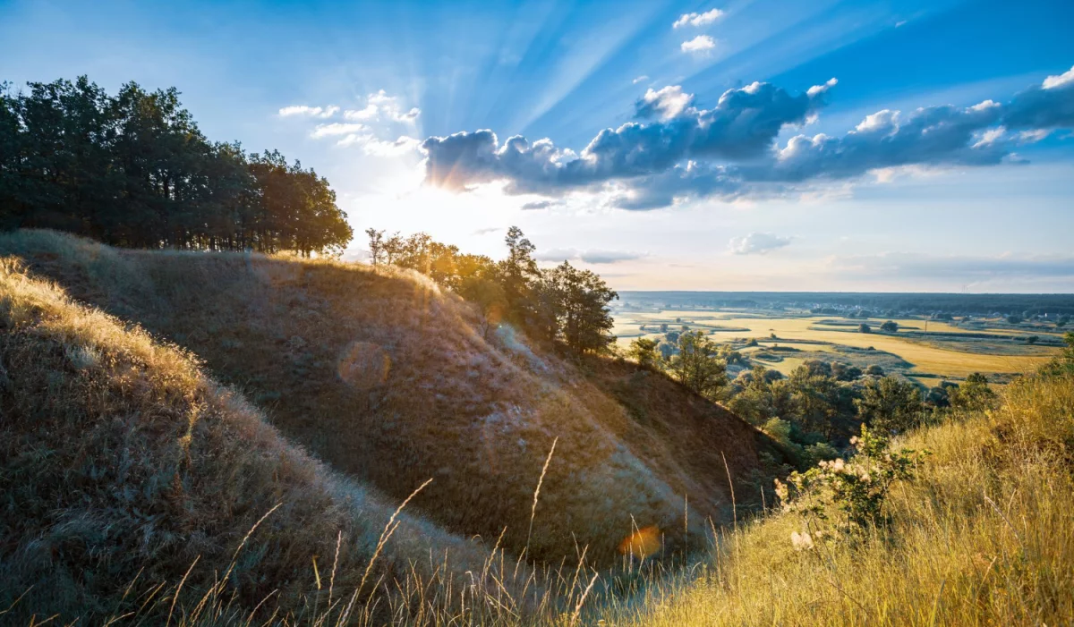 Zwykły Chłopak Chciał naprawić instalacje elektryczną. Przypadkowo Odkrył 1 Dziwny Sposób, Przez Który Sprzedawcy Go Nienawidzą.