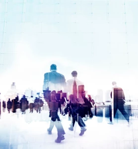 Jak mieć prawo i zarobić?