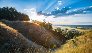 Te porady jak zatrudnić mechanika zaskoczą nawet profesjonalistę!