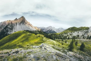 naprawić klimatyzator Profesjonalnie!