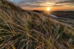 Komu opłaca sie podróżować?