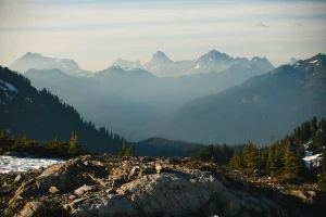Czy można jeździć samochodem we własnym domu?